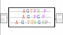 Icon for: Improving the Quality of Protein Sequence Alignments
